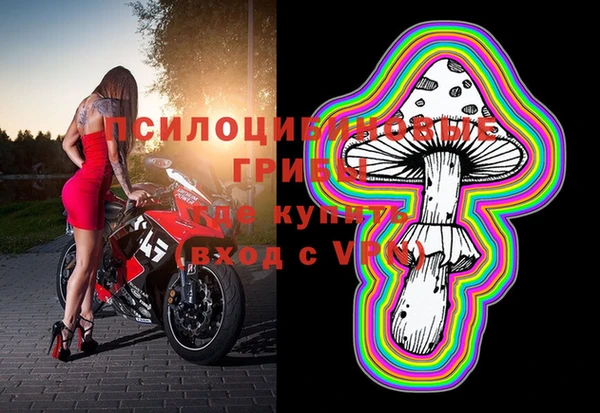 амф Бугульма