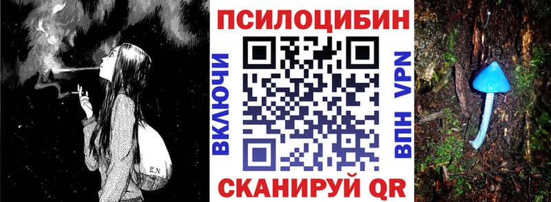 как найти закладки  блэк спрут ONION  Галлюциногенные грибы Cubensis  Новокубанск 